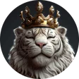 piotrek_wro