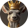 piotrek_wro